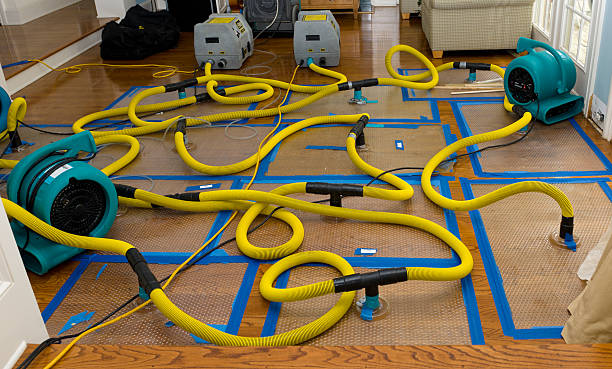 Professional Sewage Cleanup technician working in Bay City, OR